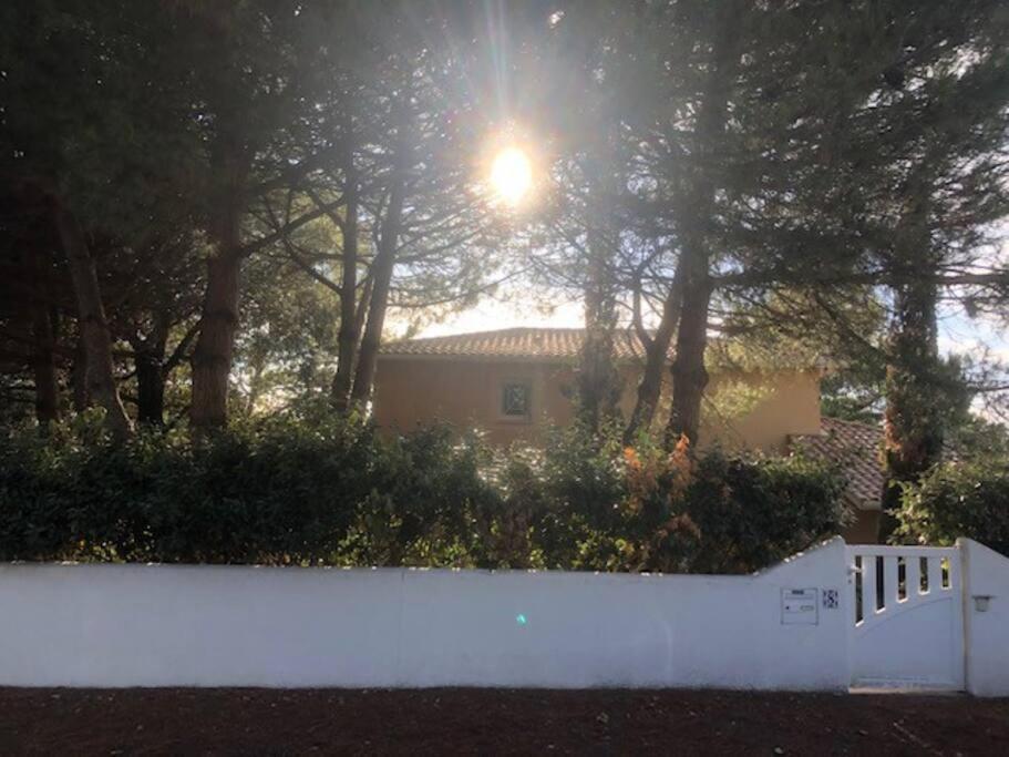 Villa Arethuse - Pyla Sur Mer Pyla-sur-Mer Exterior foto